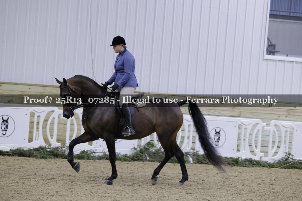 Proof Number 25R13_07285