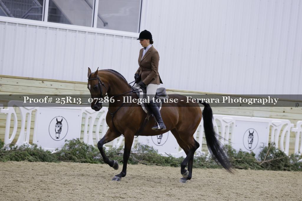 Proof Number 25R13_07286