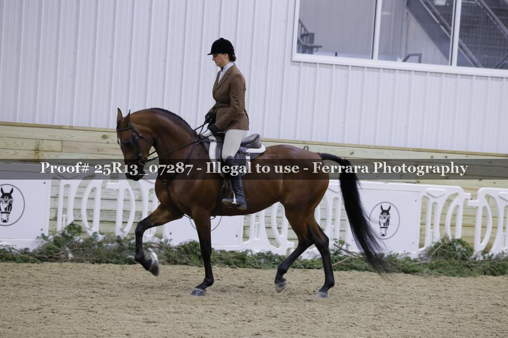 Proof Number 25R13_07287