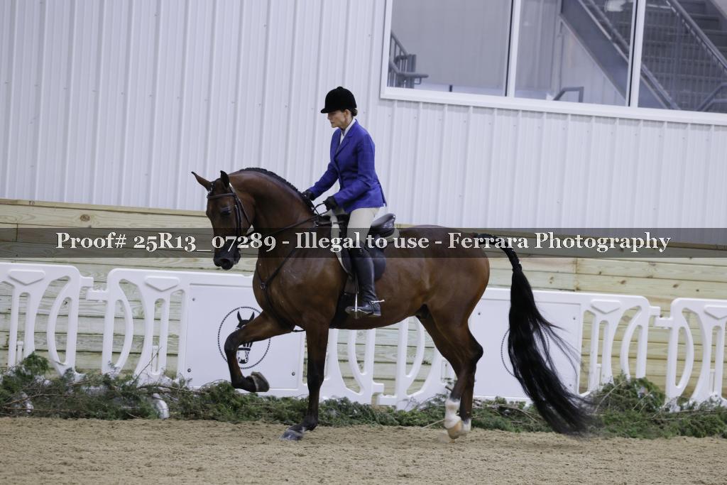 Proof Number 25R13_07289