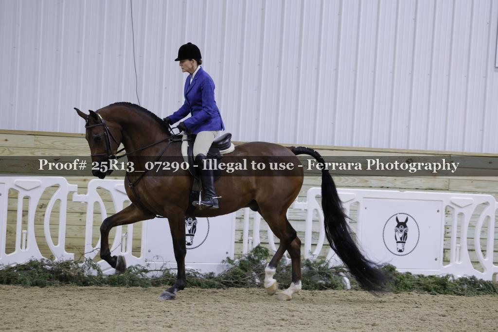 Proof Number 25R13_07290