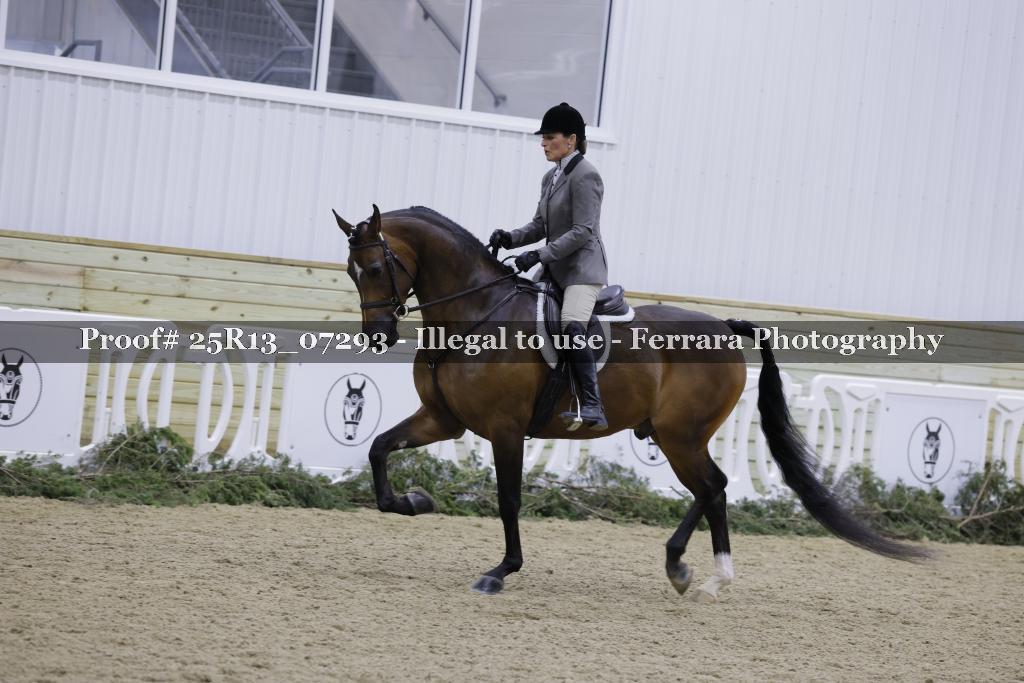 Proof Number 25R13_07293