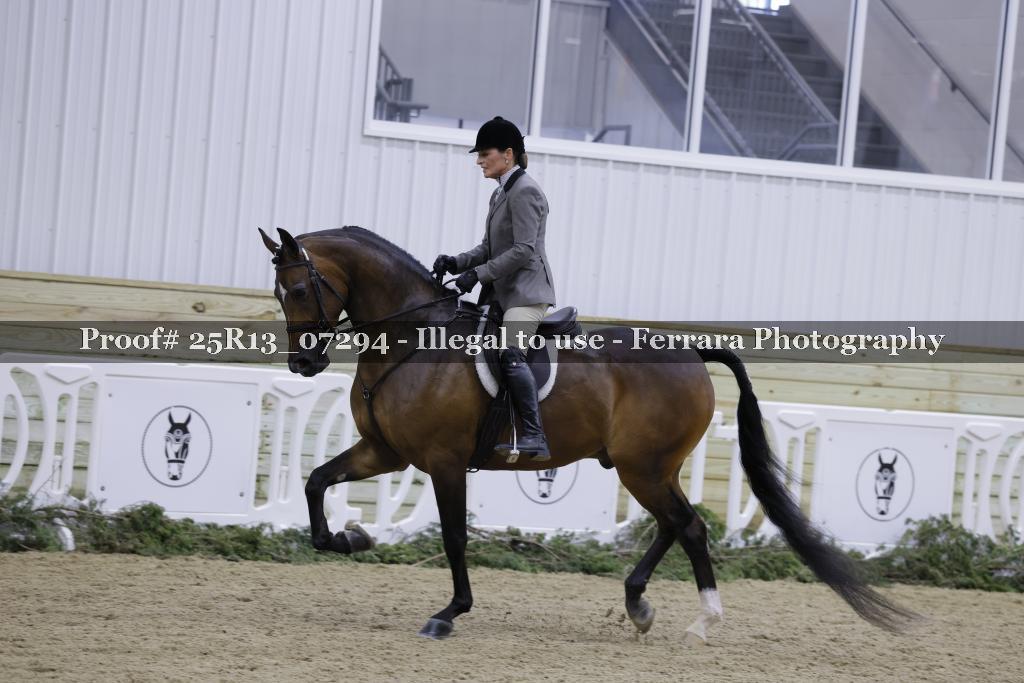 Proof Number 25R13_07294