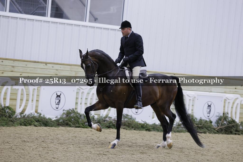 Proof Number 25R13_07295