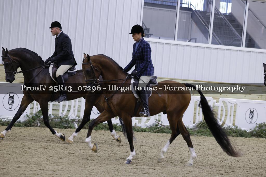 Proof Number 25R13_07296