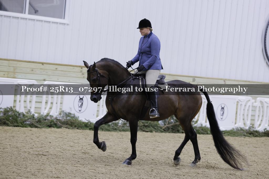 Proof Number 25R13_07297