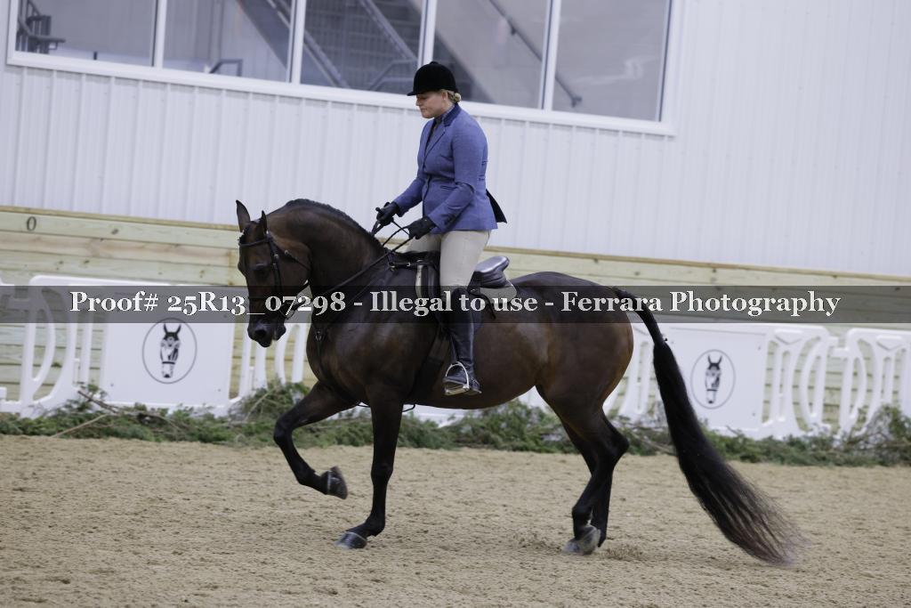 Proof Number 25R13_07298