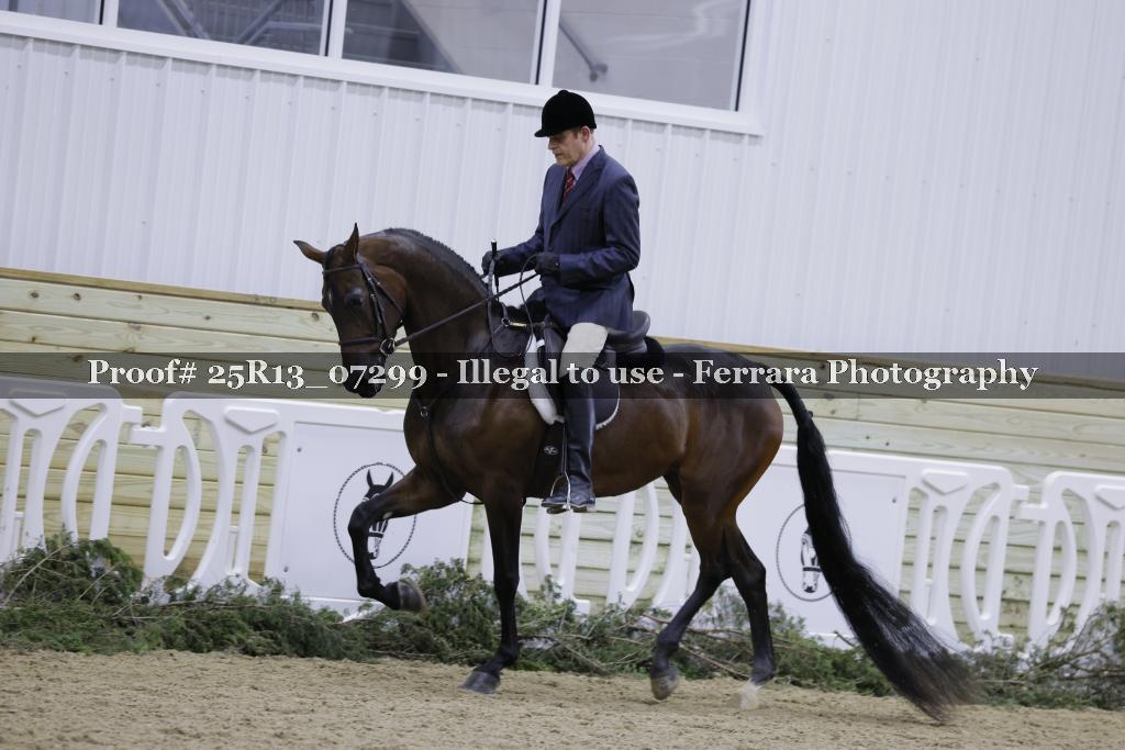 Proof Number 25R13_07299