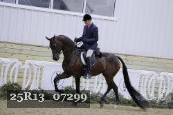 25R13_07299 thumbnail