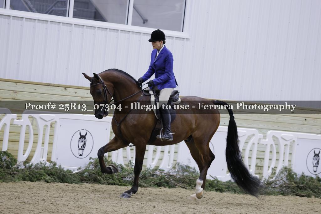 Proof Number 25R13_07304