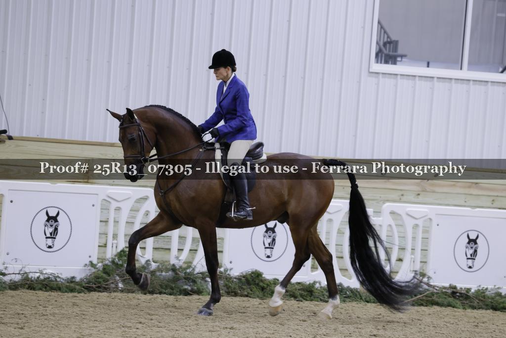 Proof Number 25R13_07305