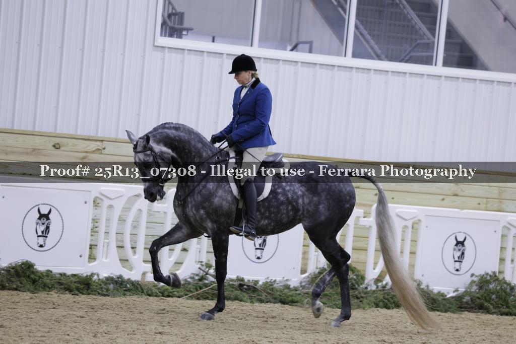 Proof Number 25R13_07308