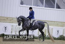 25R13_07308 thumbnail