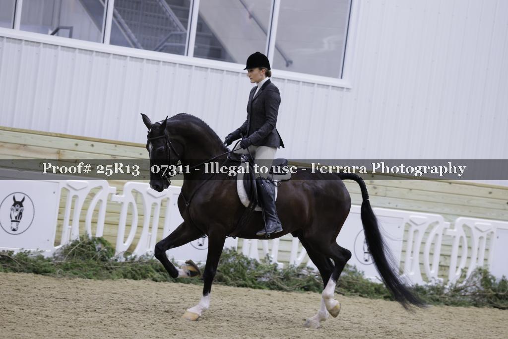 Proof Number 25R13_07311
