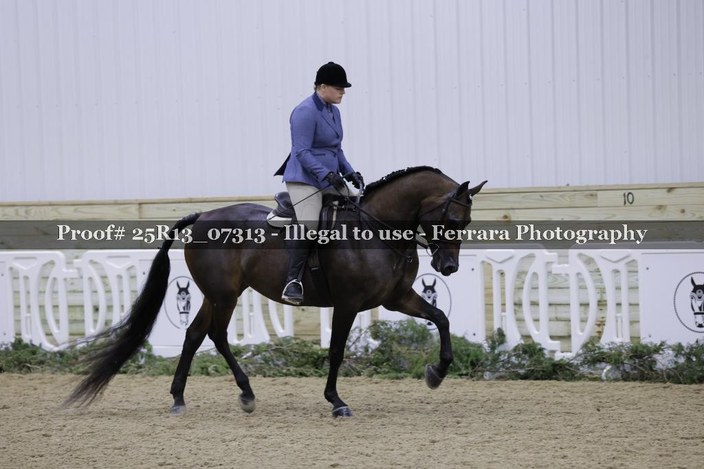 Proof Number 25R13_07313