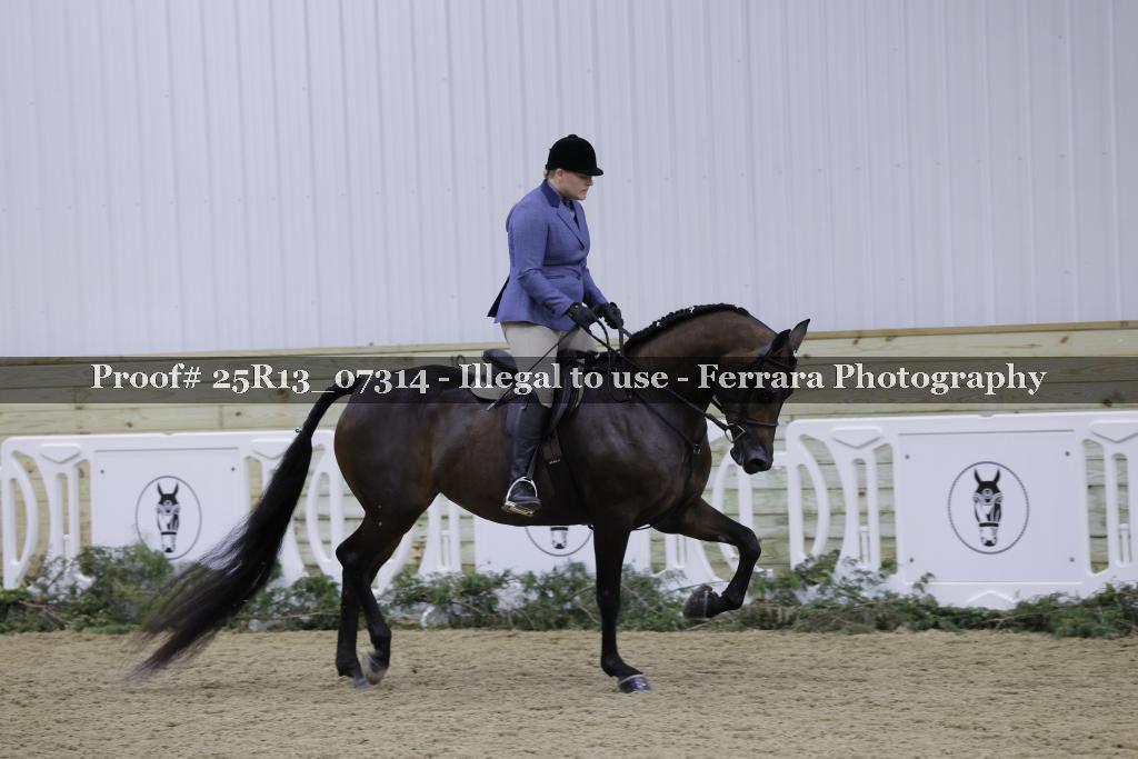 Proof Number 25R13_07314