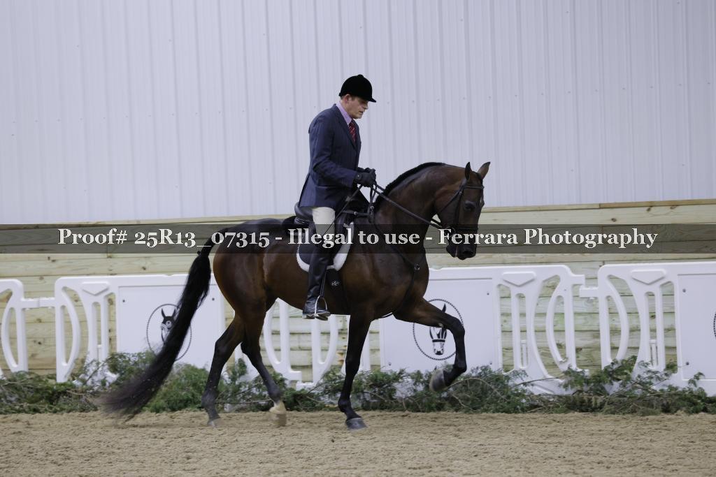 Proof Number 25R13_07315