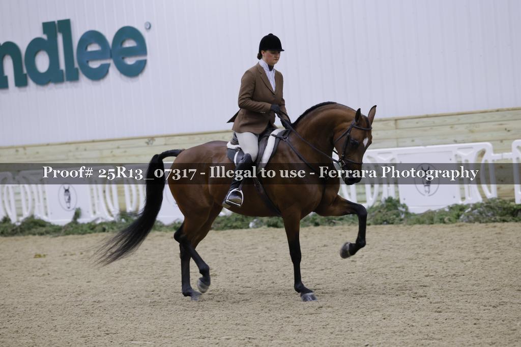 Proof Number 25R13_07317
