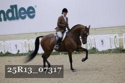 25R13_07317 thumbnail