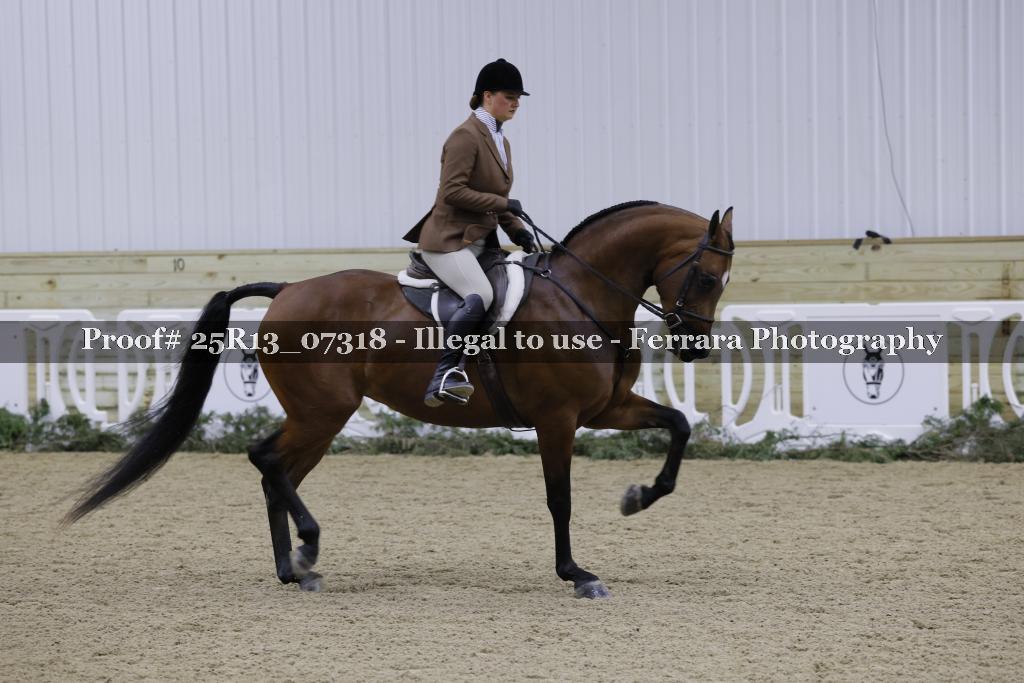 Proof Number 25R13_07318