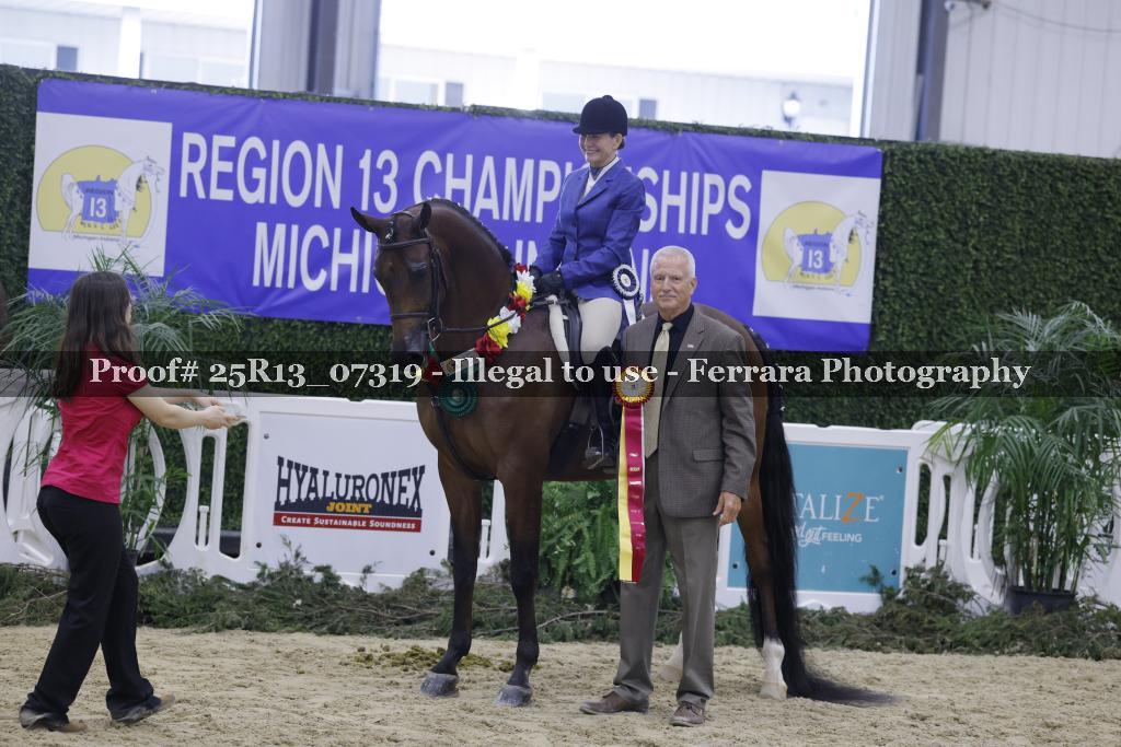 Proof Number 25R13_07319