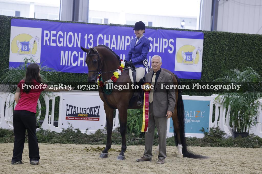 Proof Number 25R13_07321