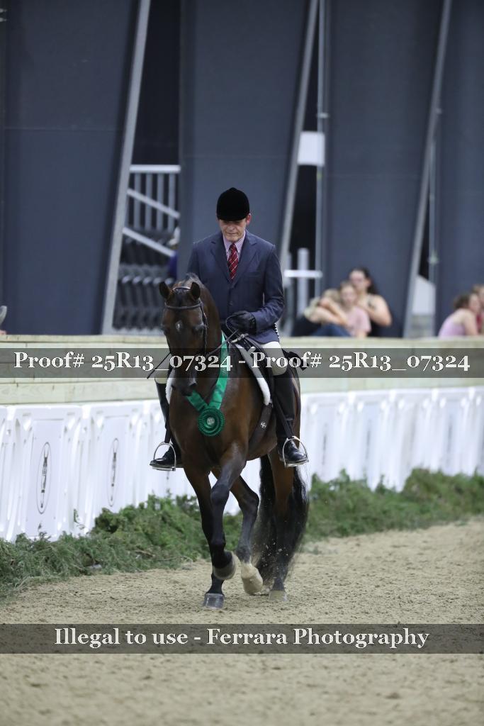 Proof Number 25R13_07324