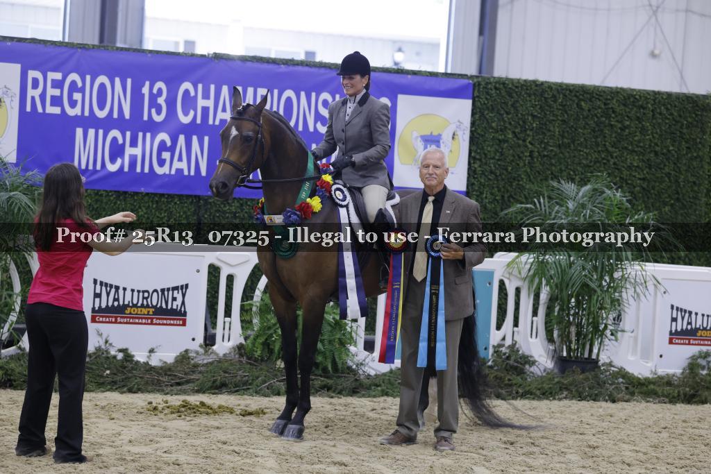 Proof Number 25R13_07325