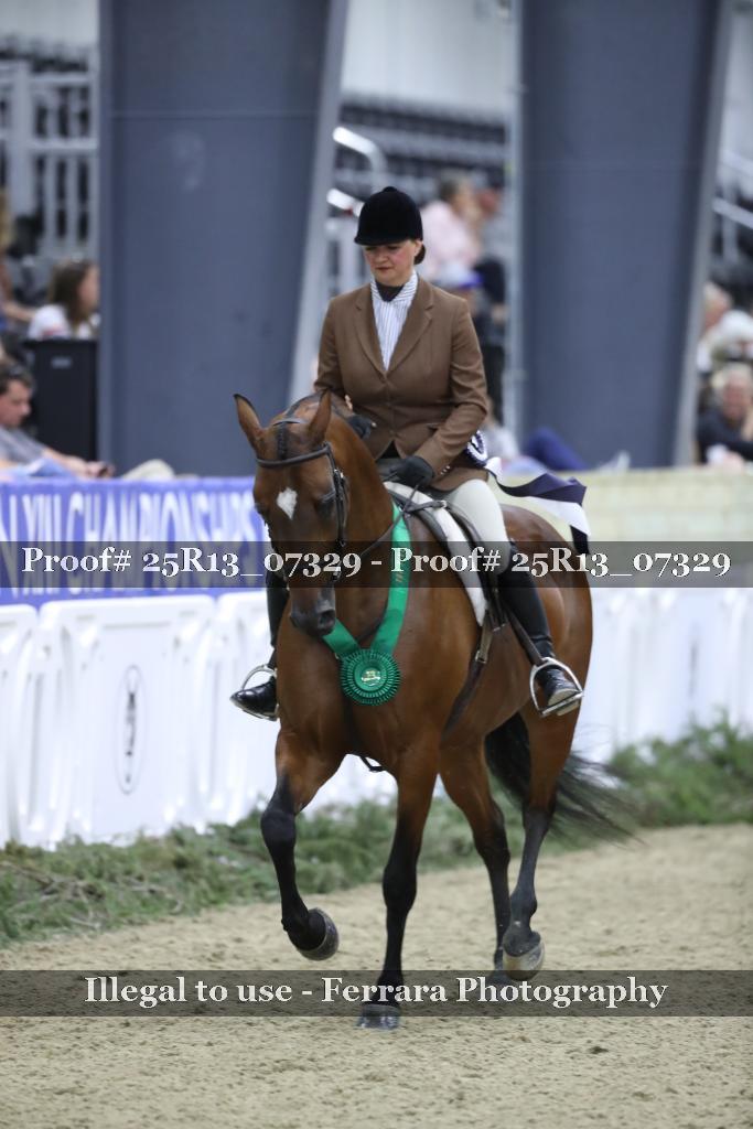 Proof Number 25R13_07329