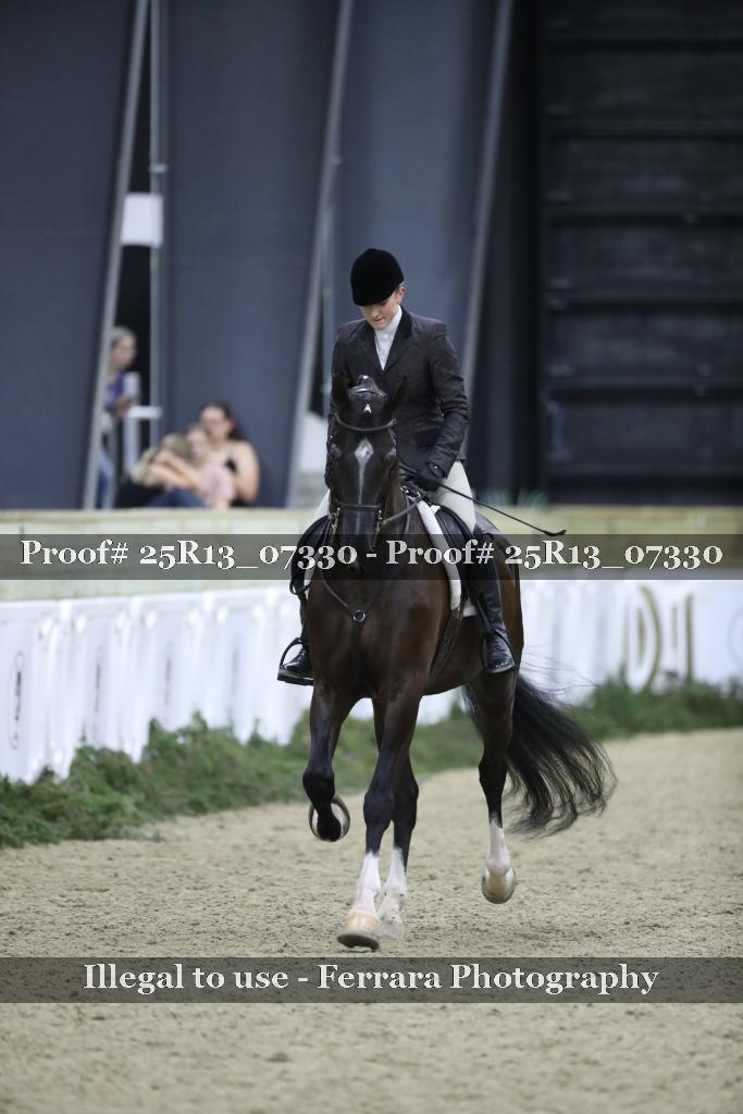 Proof Number 25R13_07330