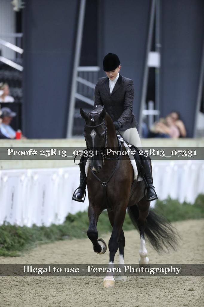 Proof Number 25R13_07331