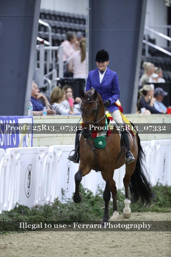 Proof Number 25R13_07332