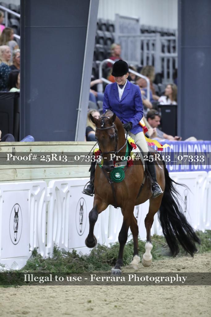 Proof Number 25R13_07333
