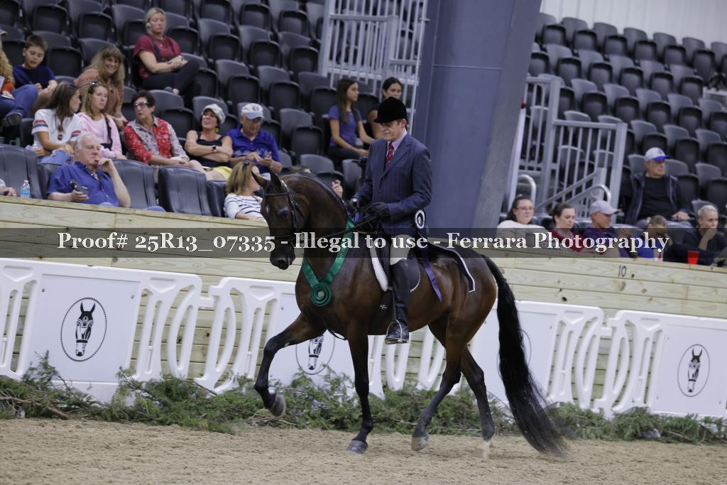 Proof Number 25R13_07335