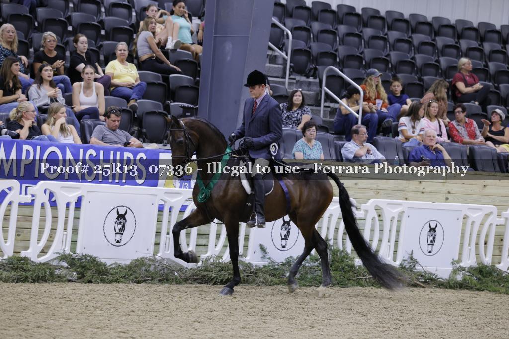 Proof Number 25R13_07336