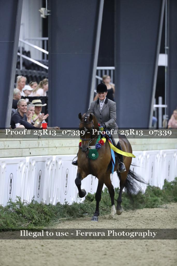 Proof Number 25R13_07339