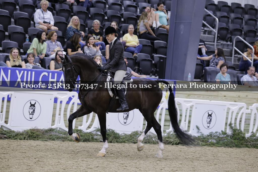 Proof Number 25R13_07347