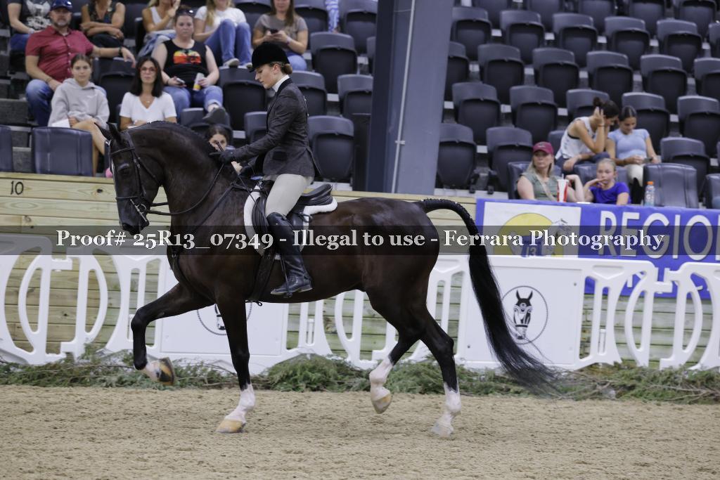 Proof Number 25R13_07349