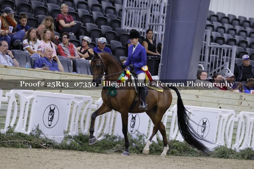 Proof Number 25R13_07350