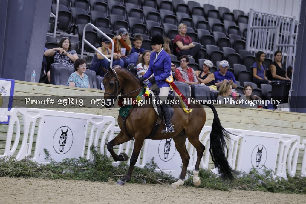 Proof Number 25R13_07351
