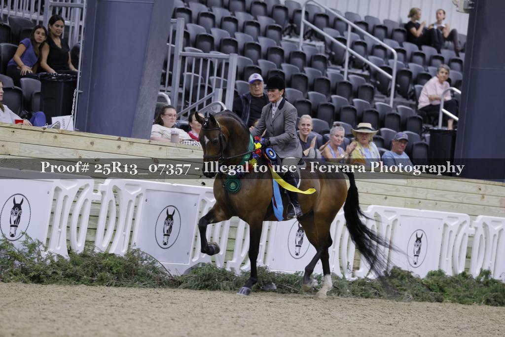 Proof Number 25R13_07357