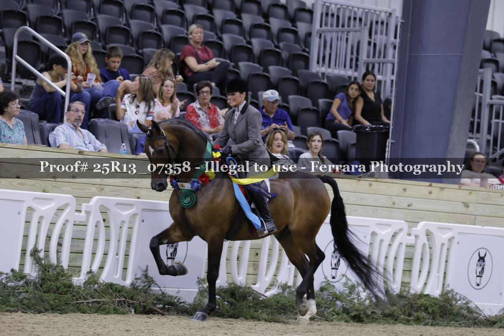 Proof Number 25R13_07358