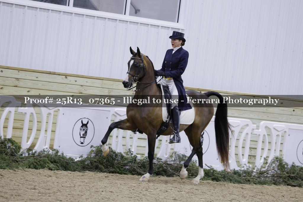 Proof Number 25R13_07365