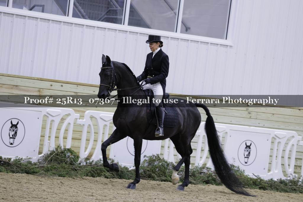 Proof Number 25R13_07367