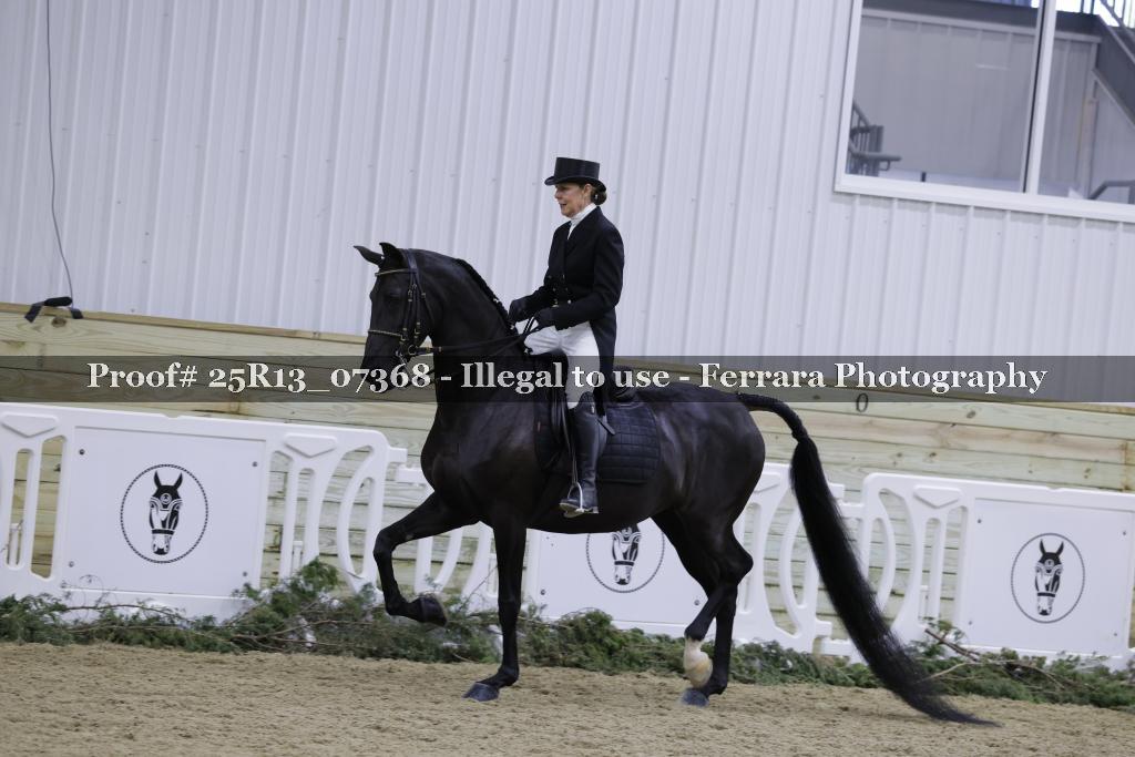 Proof Number 25R13_07368