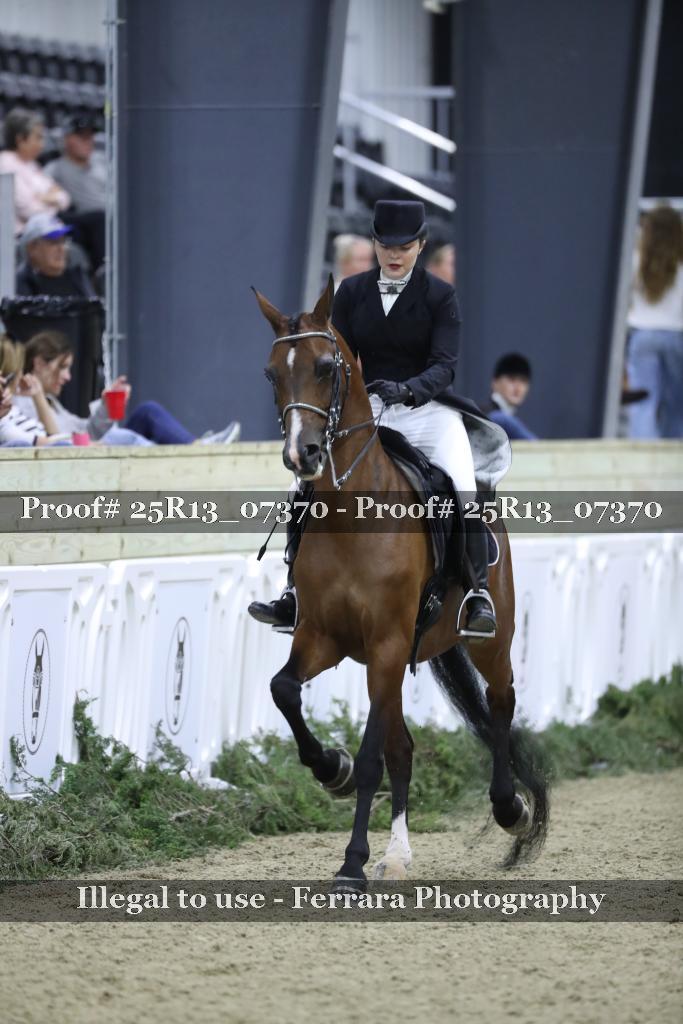 Proof Number 25R13_07370