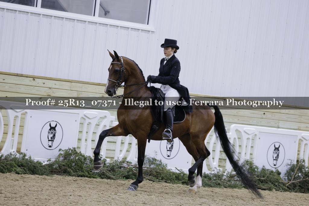 Proof Number 25R13_07371