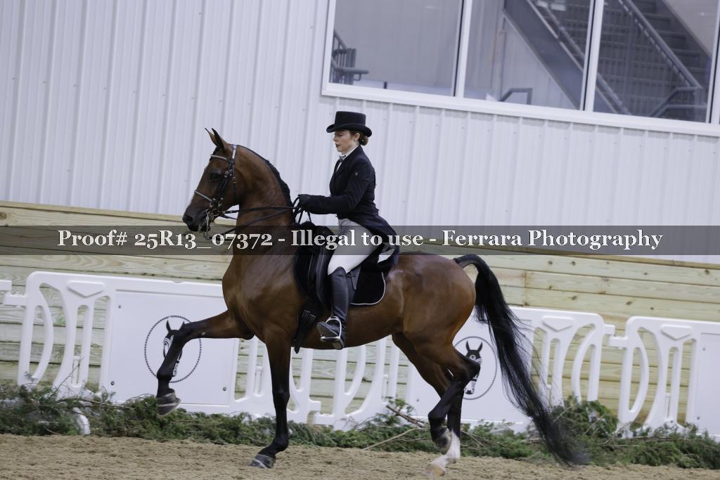 Proof Number 25R13_07372