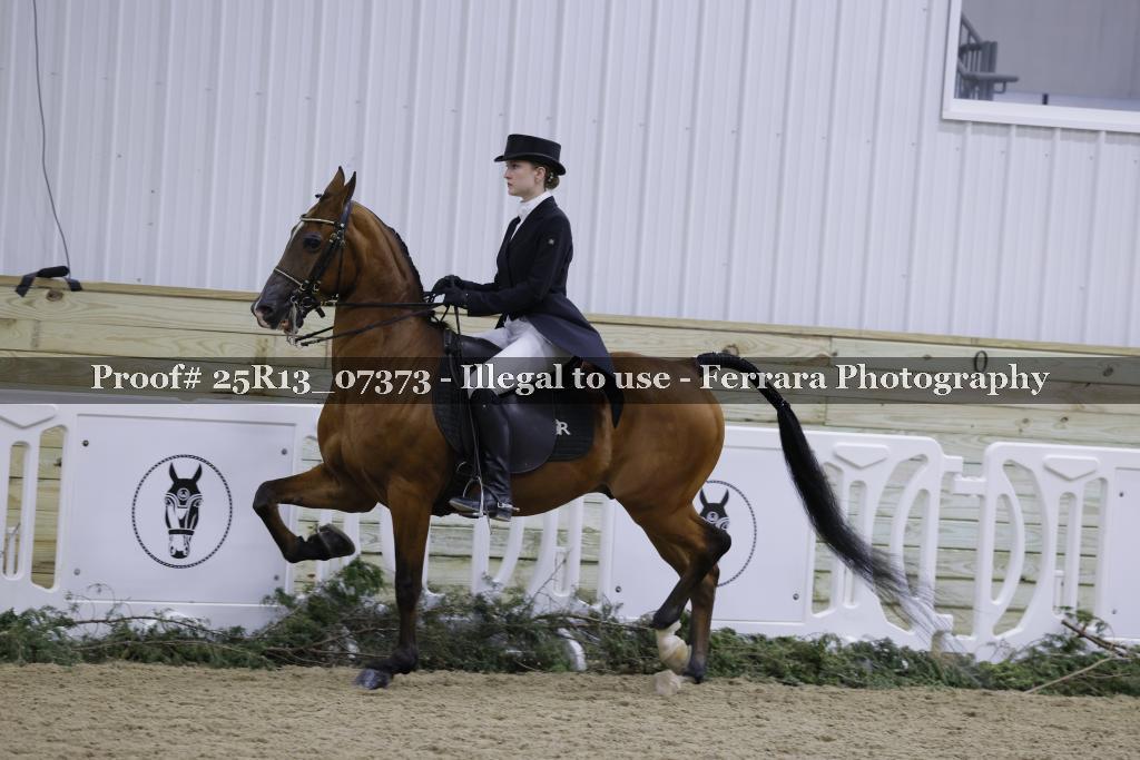 Proof Number 25R13_07373
