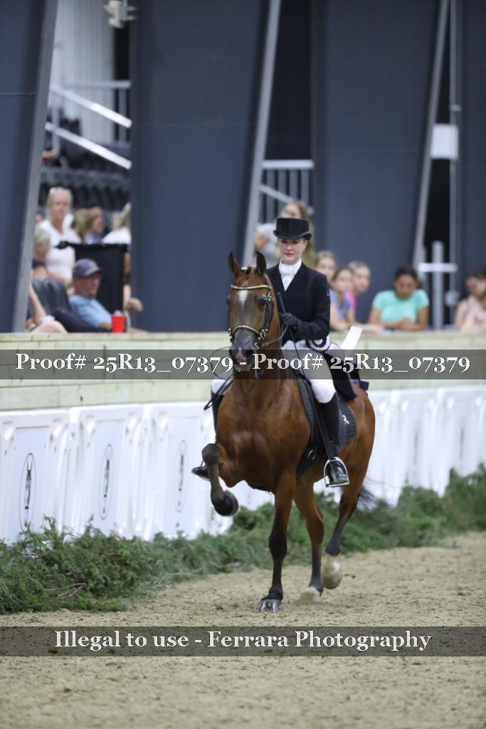 Proof Number 25R13_07379
